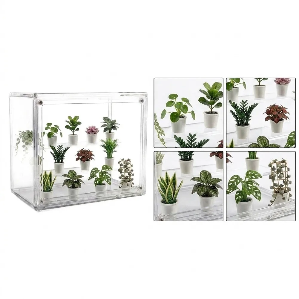 Transparent Small Greenhouse Indoor With Magnetic Door For Succulent Plants Propagation Starting Kit