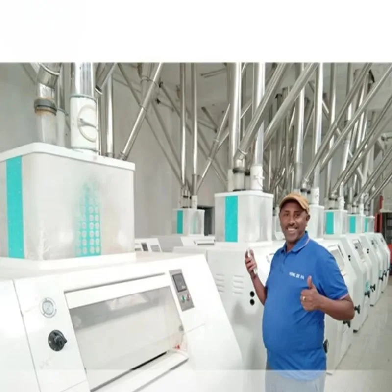 82TPD Wheat Flour Milling Machine European Standard Turnkey Project Automatic Grain Processing Line High Output Mill Factory