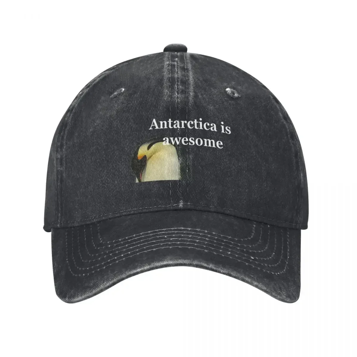 

Parent penguin cuddles with a cute baby in Antarctica Baseball Cap black Snap Back Hat Golf Women Men's
