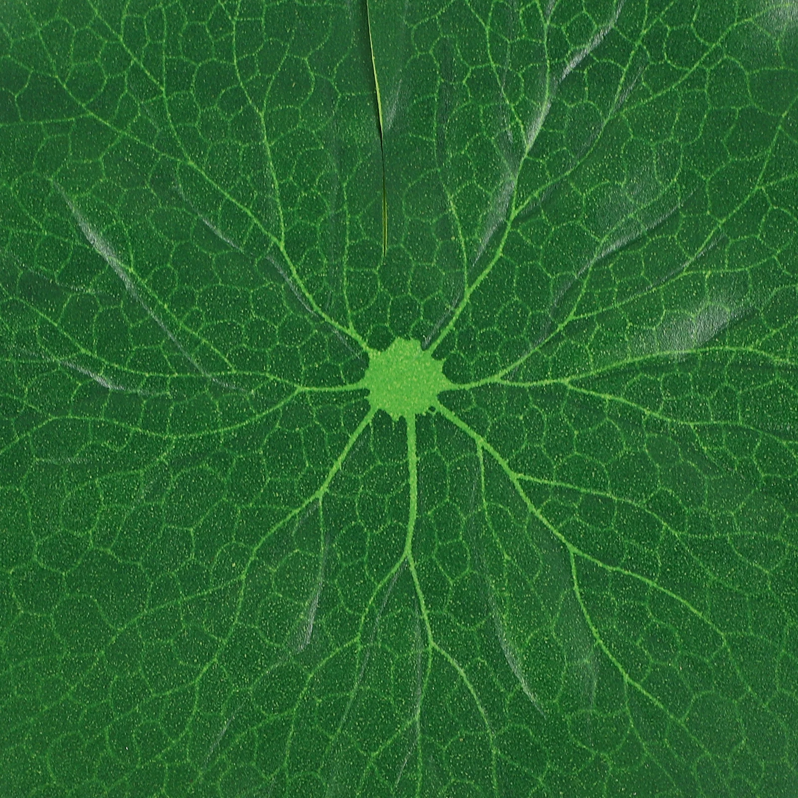 

5 Pcs Simulated Lotus Leaf Decoration Pond Floating Plants Leaves Pool Aquarium Pu Ornaments Artificial Outdoor Decorations