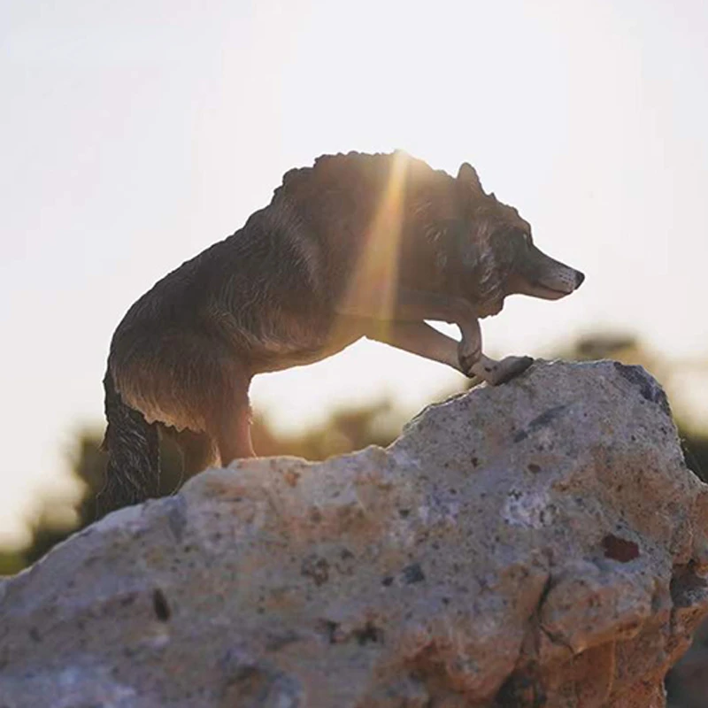 1/6 North American Gray Wolf Simulation Fierce Beast Animal Ornaments