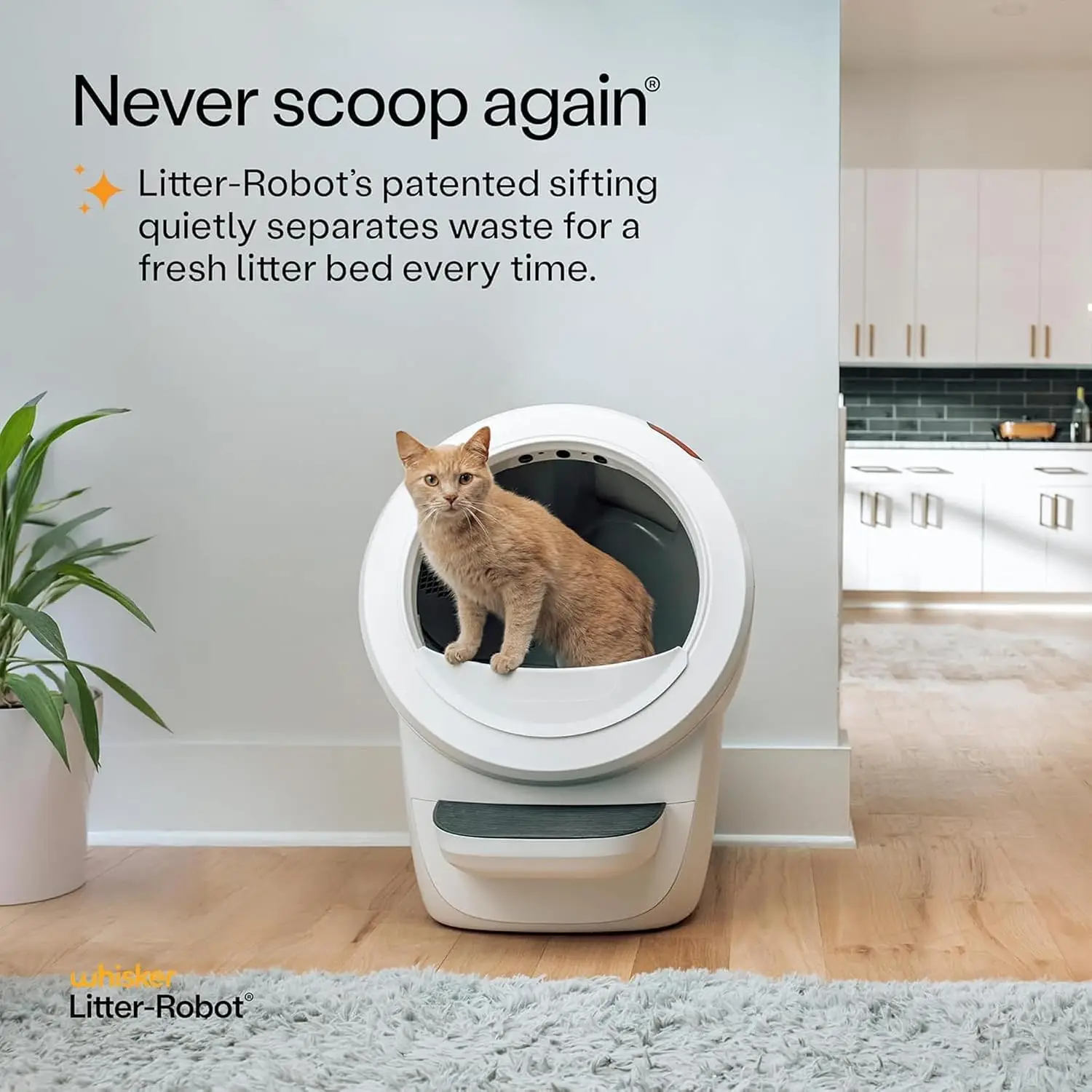 Litter-Robot 4 by , White | Automatic, Self-Cleaning Cat Litter Box, Helps Reduce Litter Box Odors, Works with Any, Customized