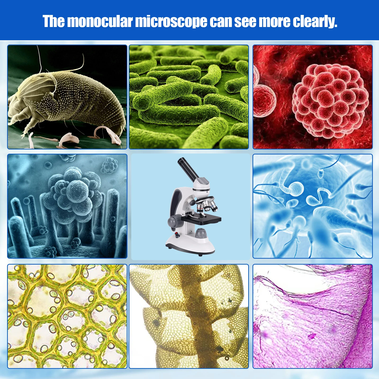 Monocular Microscope Professional Optical University Laboratory Primary Middle School Educational For Children