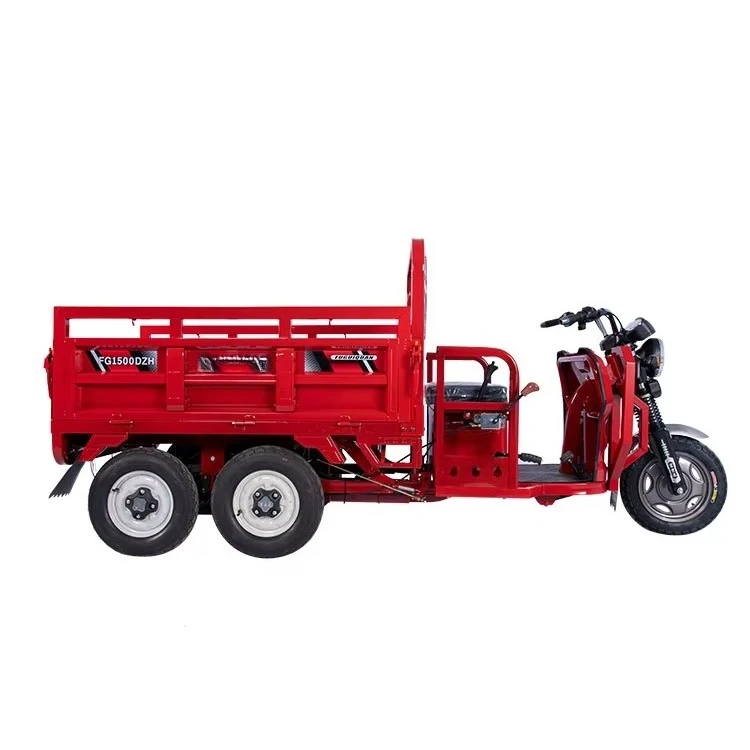 Double Rear Axle Heavy Duty 5 Wheel Cargo Electric Tricycle 1000kg