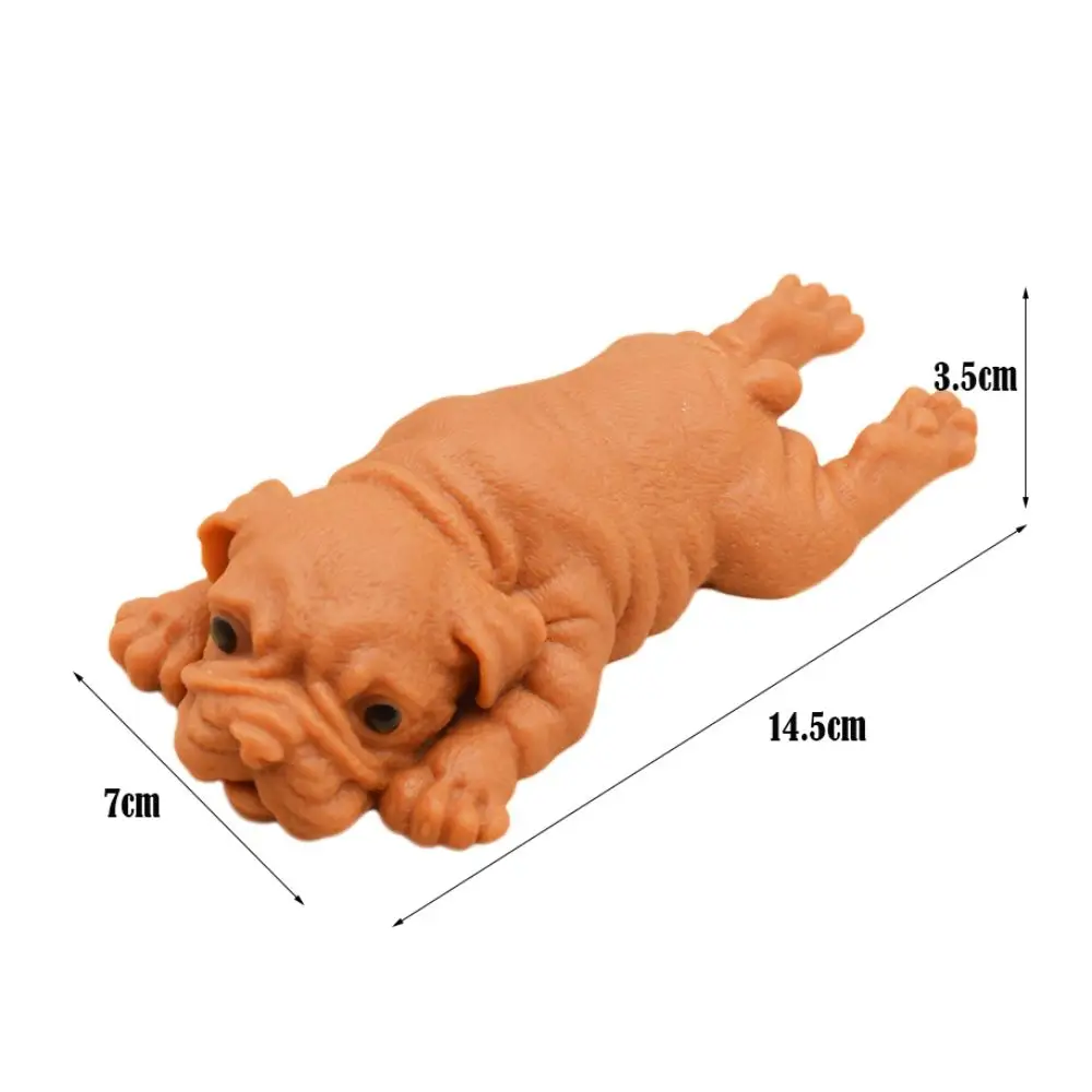 Giocattoli Fidget TPR di alta qualità Squishy Dogs Simulazione Antistress Giocattoli Giocattolo di decompressione morbido