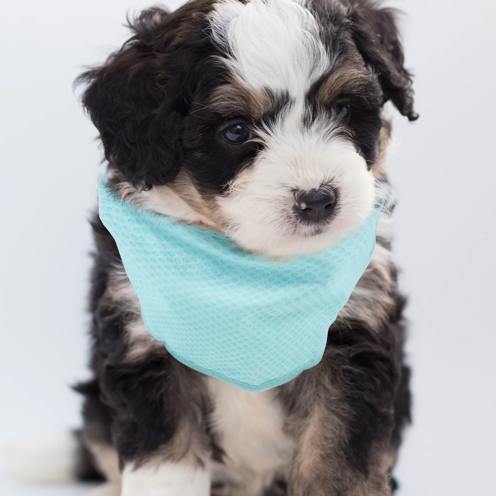 

Cool Dog Collars Cooling Scarf Summer Supply Adjustable Collars Breathable Towel Puppy Walk Exercise PVA Material Heat Resistant