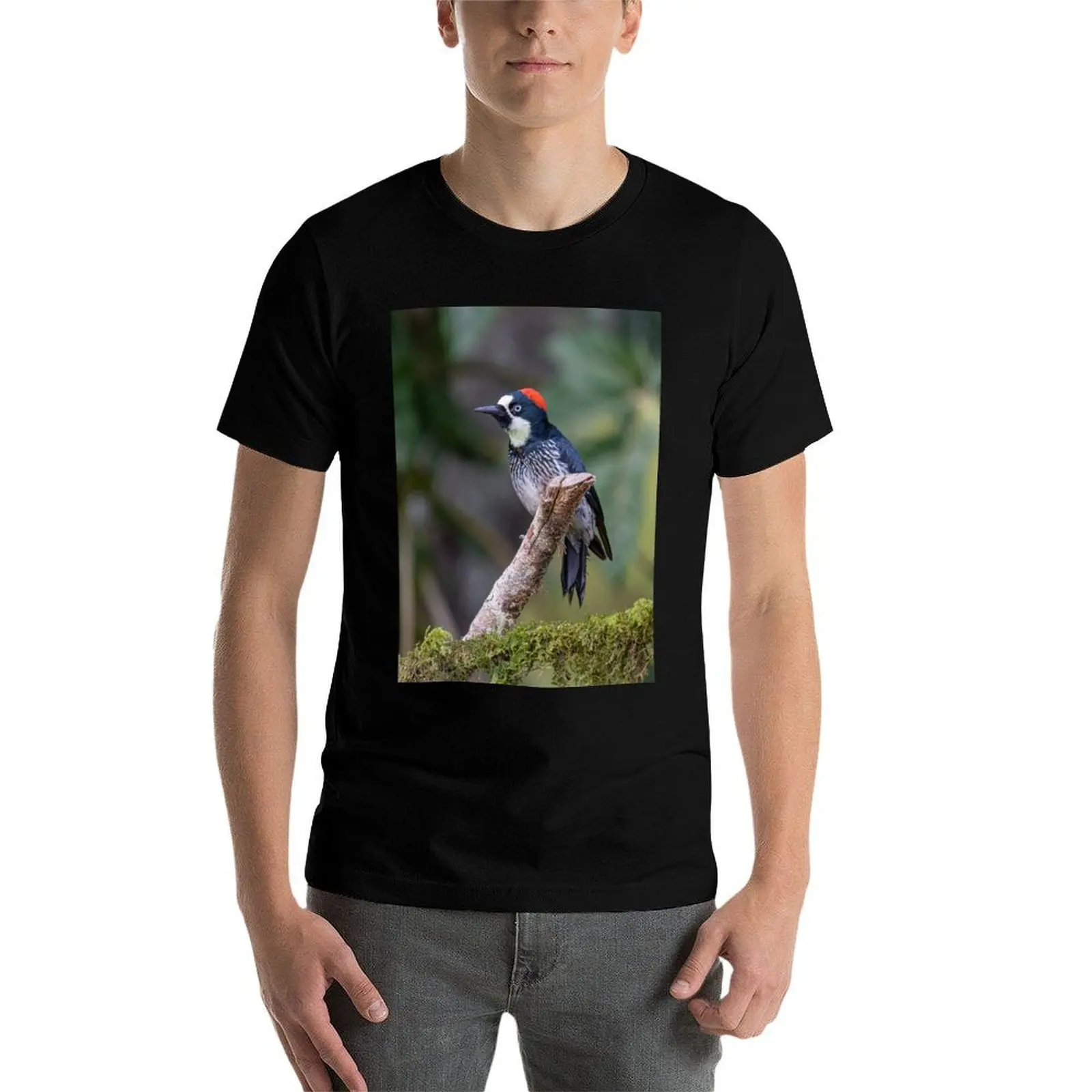 Acorn woodpecker perched on a branch in Costa Rica T-Shirt blacks plus sizes hippie clothes Men's cotton t-shirt