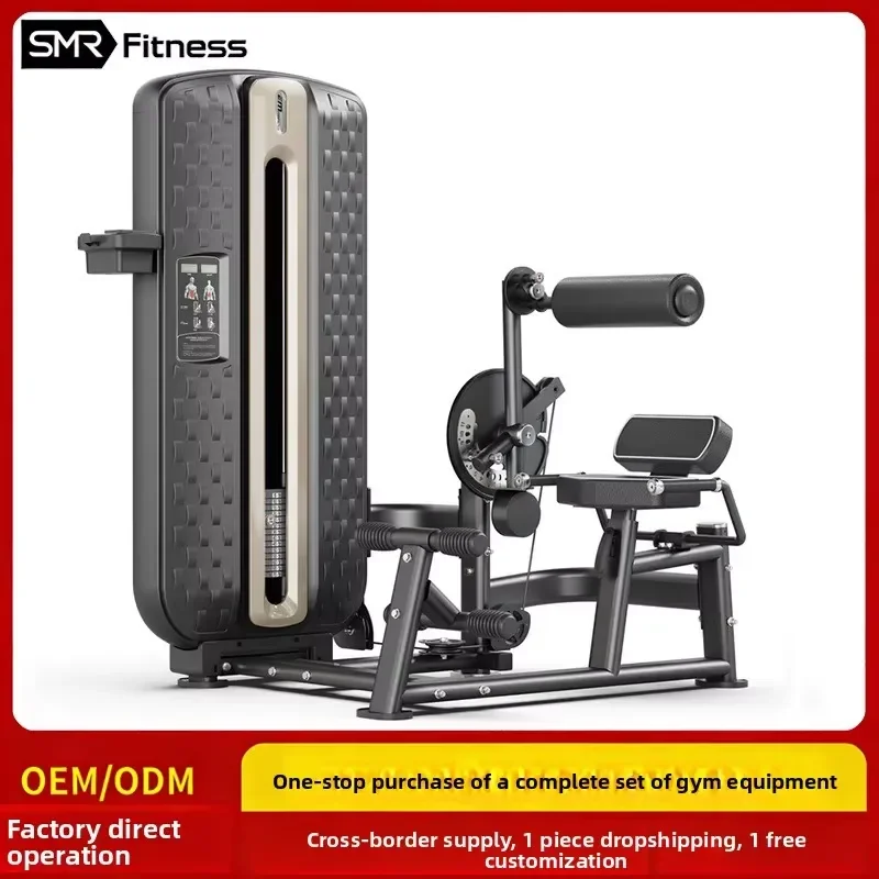 Gym Dual-purpose steel waist and abdomen trainer Multifunctional professional fitness equipment Commercial body sculpting