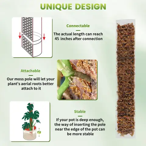 10 best sales कोई विषय पढ़ाना - №3