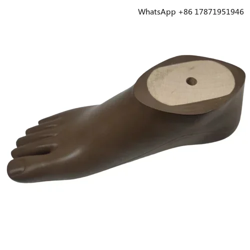 

Prosthetic Leg Parts Brown SACH Foot Prosthetic Foot Artificial Limbs Foot