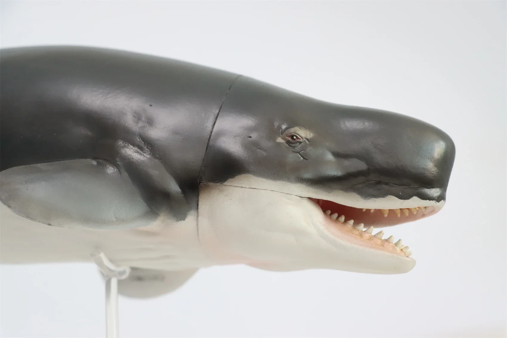 PNSO Prehistoric Dinosaur Model 56 Requena The Livyatan Collection Science Education Sperm Whale Animal Decoration Toys