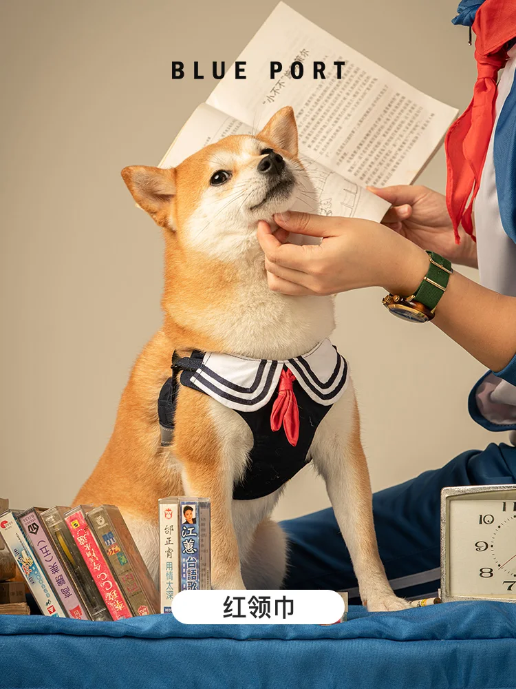 犬の鎖,ブルーポート,ペットのチェストストラップ,ウォーキングミニ犬