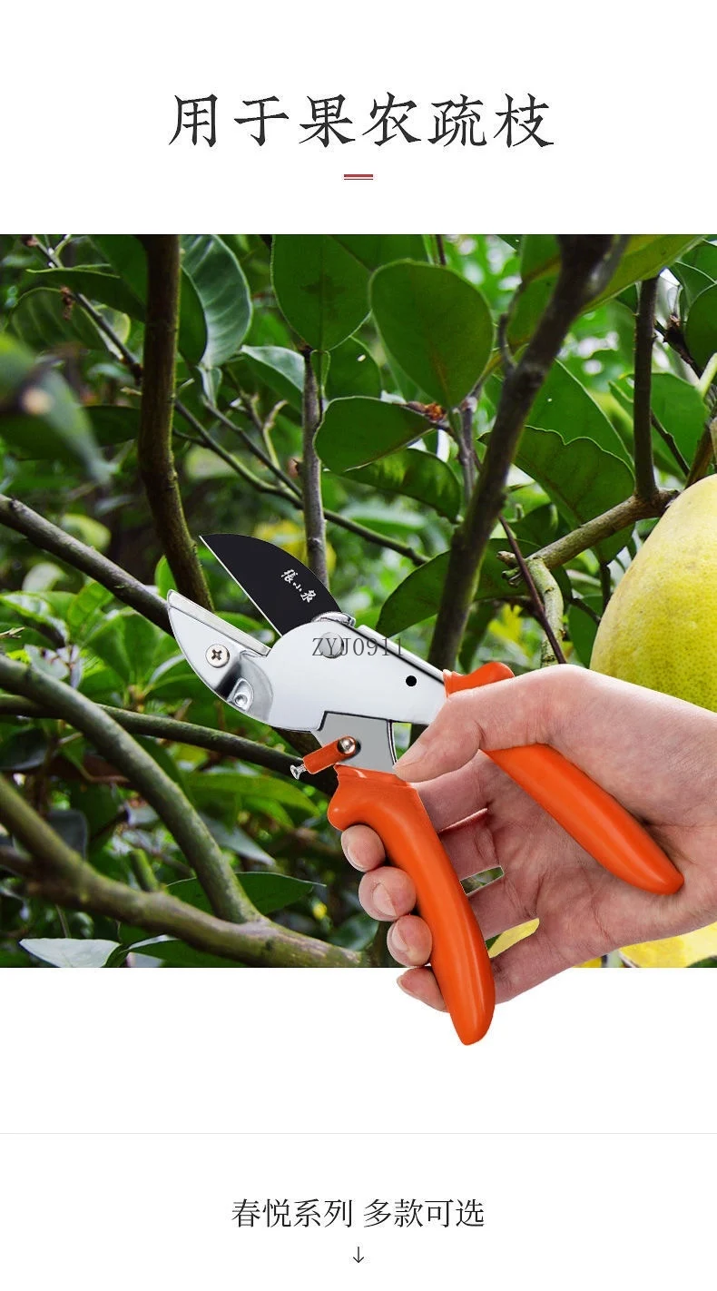가지 가위 과일 나무 꽃 정원 도구 녹화 노동 절약 가지 치기