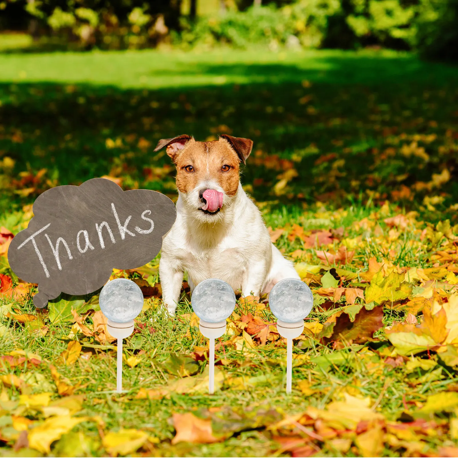 4Pcs Wood Gazing Ball Stand Outdoor Sphere Holder for Crystal Glass Mirror Ball Display Garden Globe Pedestal Yard Micro - view 3