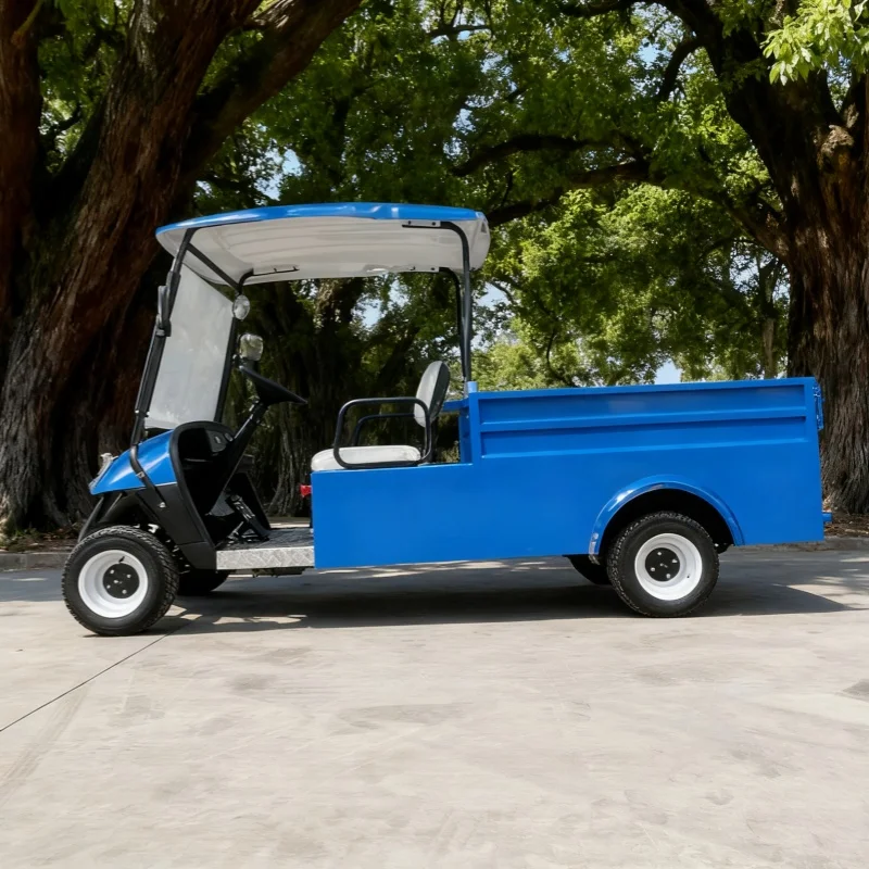 جديد بطارية تعمل بالطاقة الكبار عربة جولف كهربائية MacPherson تعليق 2 الركاب عربة شحن كهربائية قابلة للطي مع صندوق البضائع الخلفي
