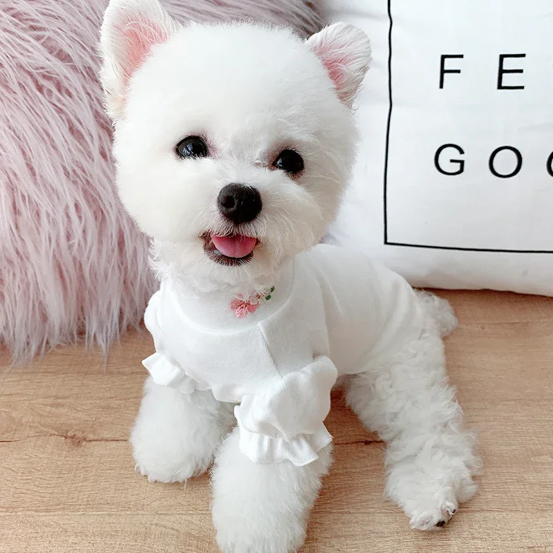 Spring Autumn Dog Clothes T-shirt Pajamas Cat Puppy Small Dog Costume Tee Shirt Yorkie Pomeranian Shih Tzu Maltese Clothing