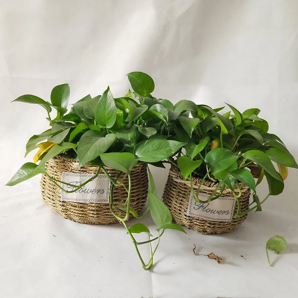 

Straw Flower Pot Handwoven Creative Functional Woven Basket For Garden Home Decoration Planting Flowers Gift (S)