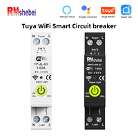 RMshebei smartlife WIFI MCB Smart Electric Meter Kwh 63A 110V 220V Breaker WIFI Voltage protector wifi smart circuit breaker