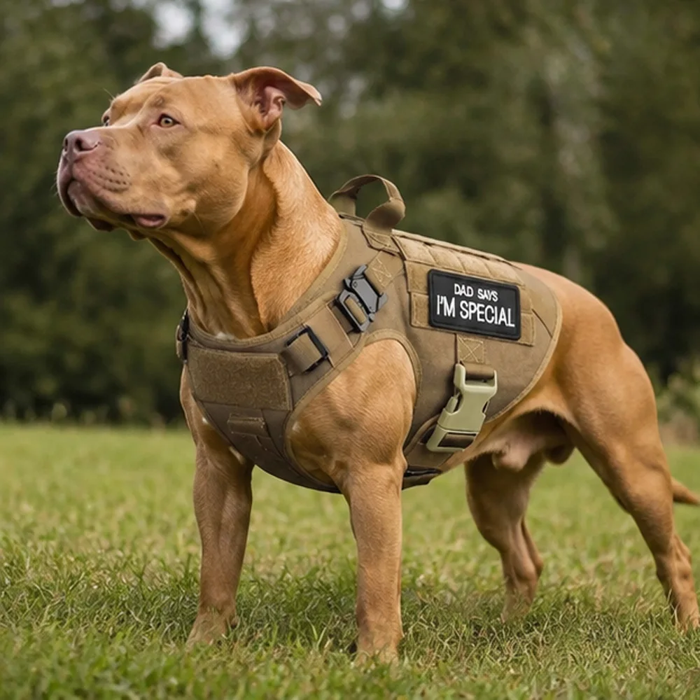 arnes-tactico-para-perro-con-collar-y-correa-12-parches-chaleco-ajustable-para-entrenamiento-y-paseo-para-perros-medianos-y-grandes-accesorios-para-perros