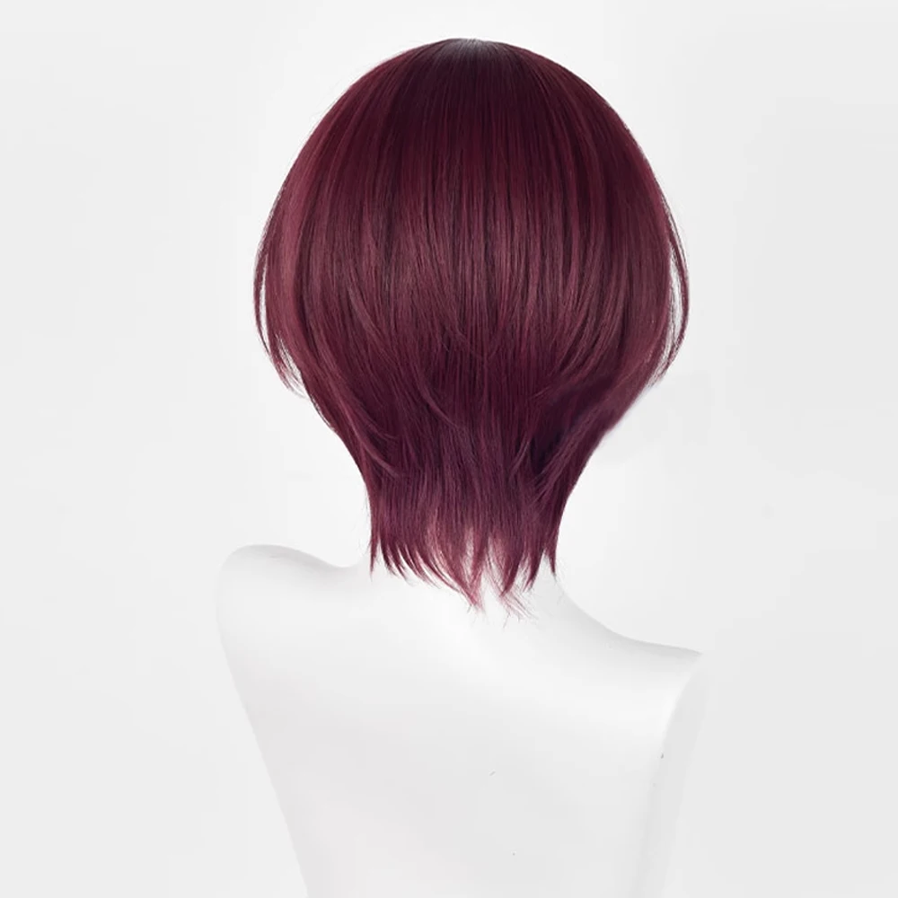 RANYU Anime Cosplay Wine Red Synthetic Short Straight Wig Middle Part Men Fluffy Hair Heat Resistant Wig for Daily Party