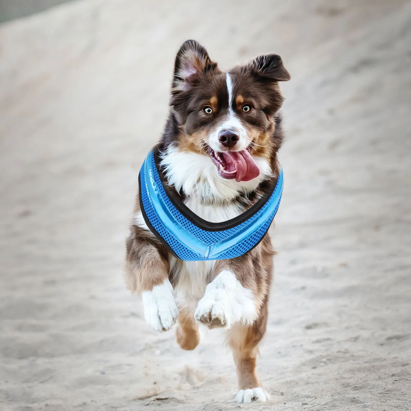 

LED Vest Luminous USB Charging Night Walking Fashionable Puppy Harness Reflective Glowing Pet Dog Wear Comfortable Trendy