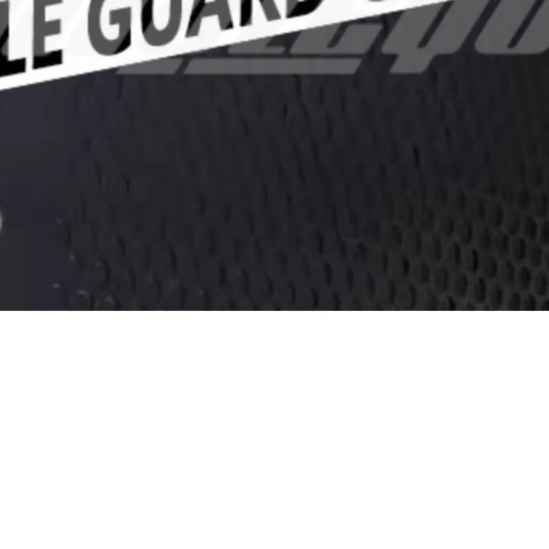 

Radiator Guard Grille Cover Oil Cooler Protector FOR KAWASAKI Z900 Z900SE 2017-2018-2019-2020-2021-2022-2023-2024-2025-2026