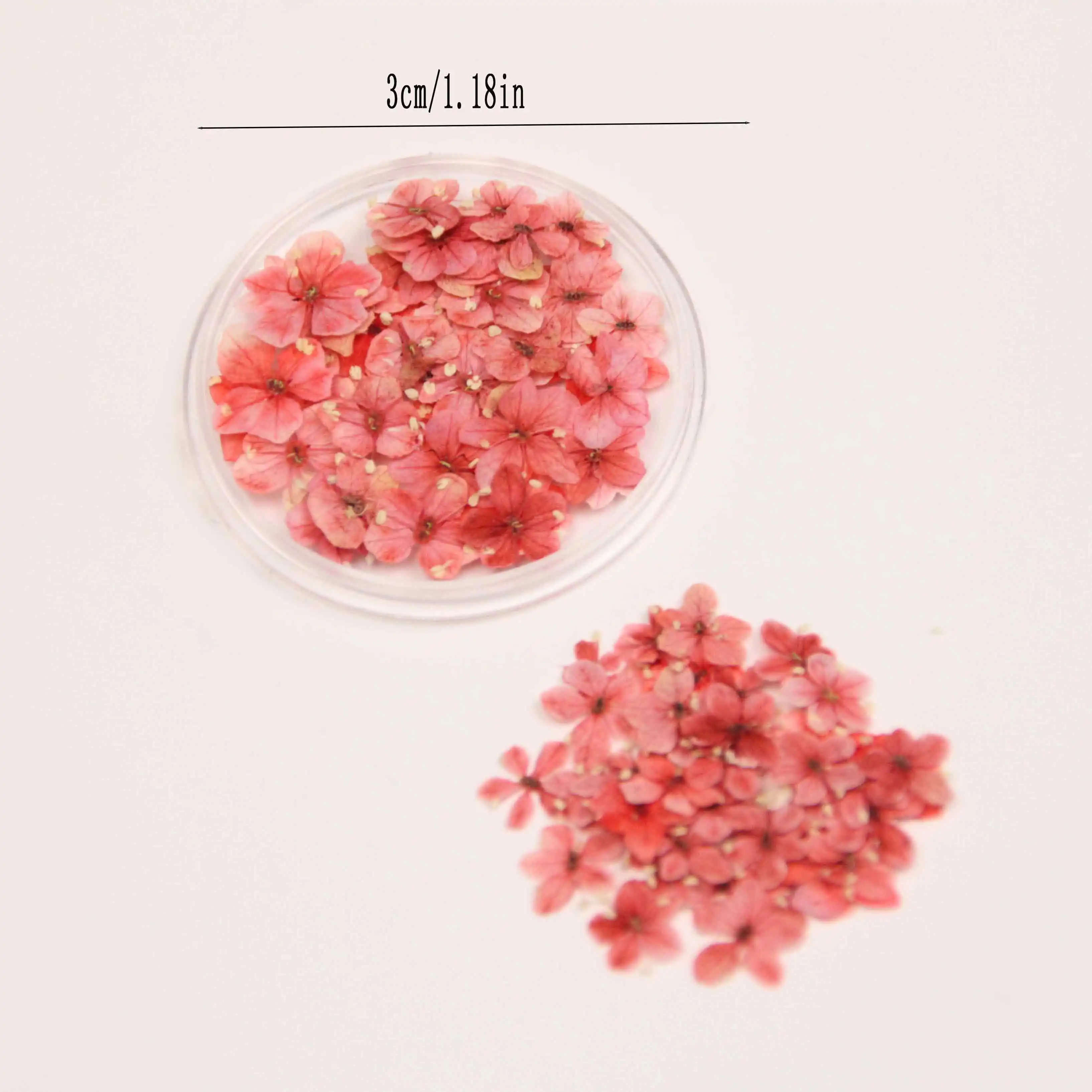 50 Stück natürliche getrocknete Blumen, Großpackung für Nagelkunst, Dekoration, DIY, Kunsthandwerk, Schmuck, Dekoration, Kerze, Seife, Herstellung, Nagelkunst, trocken