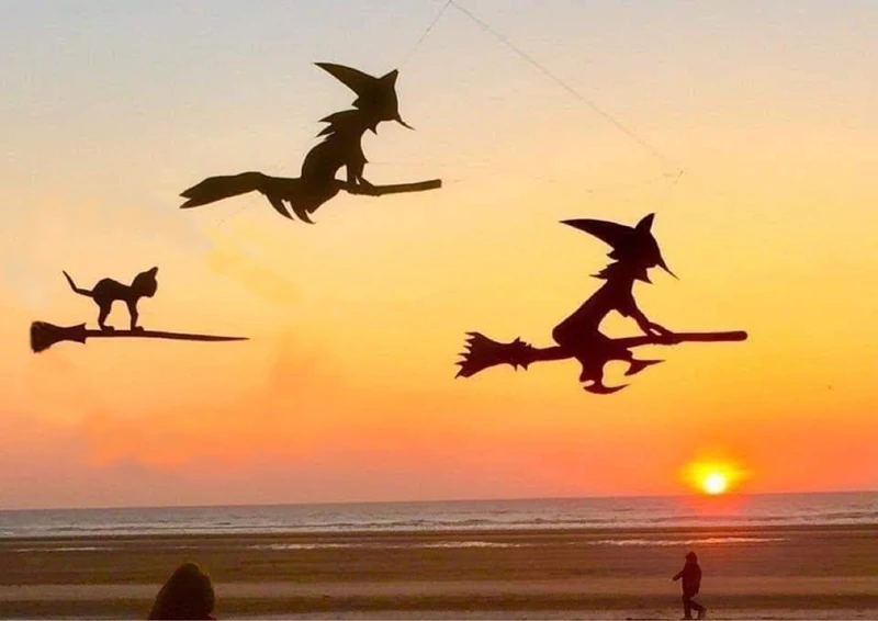 Cerf-volant gonflable 3D pour adultes, grand cerf-volant de sorcière, ligne de ficelle professionnelle, entraînement de jeu en plein air, livraison gratuite