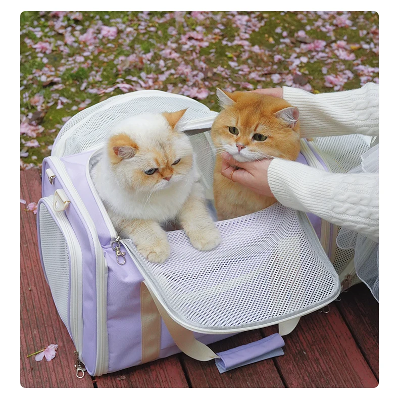 Expandable Airline Approved Pet Carrier Soft Sided Cat Dog Travel Bag For Cabin Flight