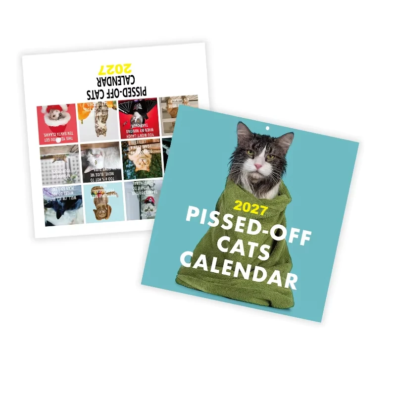 2027 Pissed-Off Cats Calendar Funny Cat Wall Calendar with Monthly Humor Cute Creative Cat Hanging Calendars for New Year