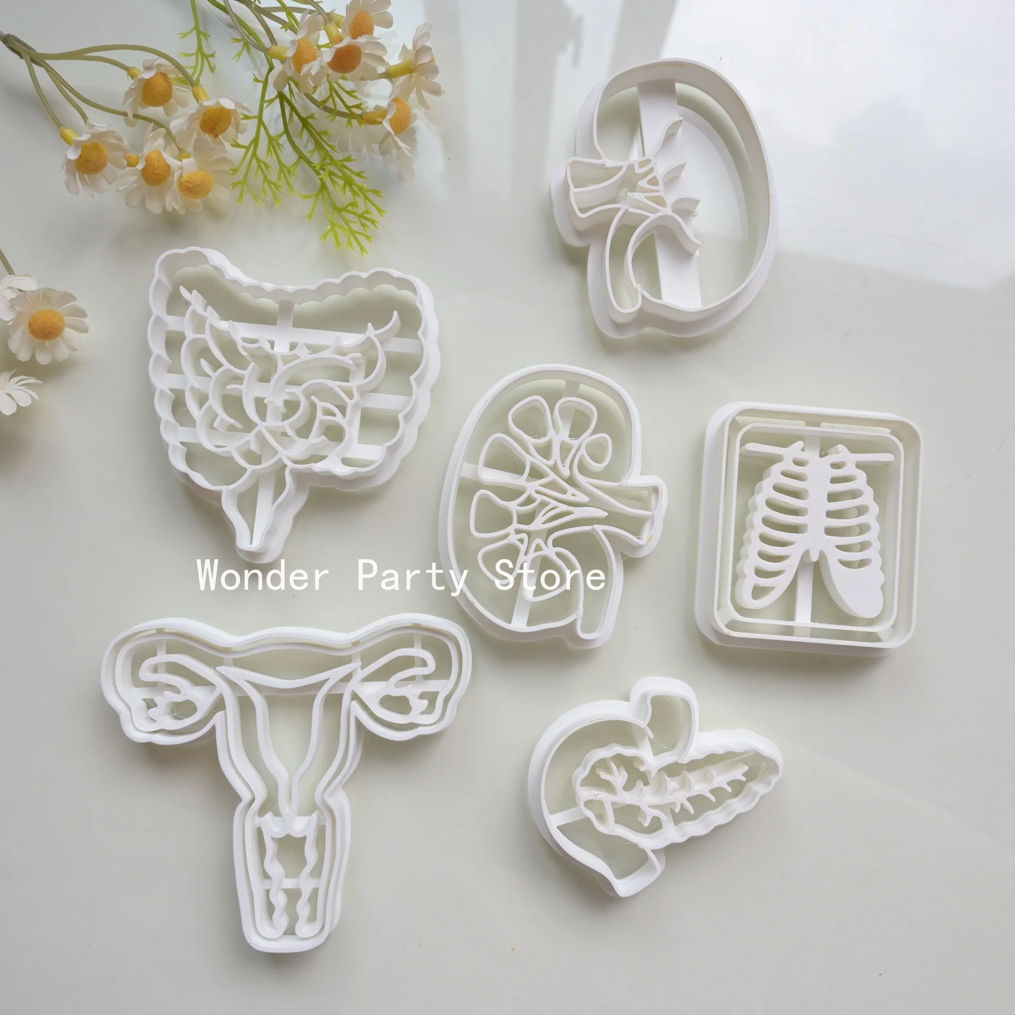 Large Intestine Kidney Organ Cookie Cutter Medical Science Pattern Biscuit Mold Human Organ Theme Biscuit Molds DIY Baking Tool