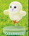 Yellow Barn Owl