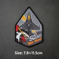 F-16 Wild Weasel