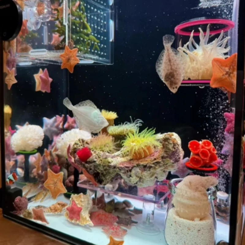 SPS LPS المرجان الشعاب المرجان - مراجعة Aquarium Plant Glue Gel وسعره
