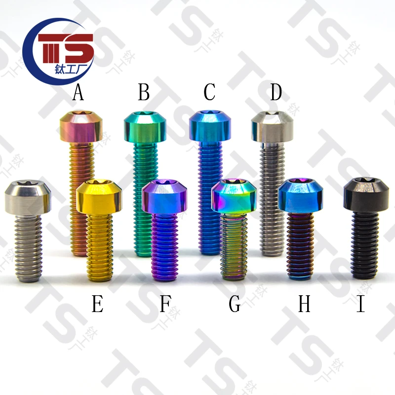 TS M4/M5/M6X5/8/10/15/20/25/30/35/40/45/50/55/60/65/70/80/90/100/110MM Titanium Alloy torx Head Bolts Screw (one lot=10pcs)