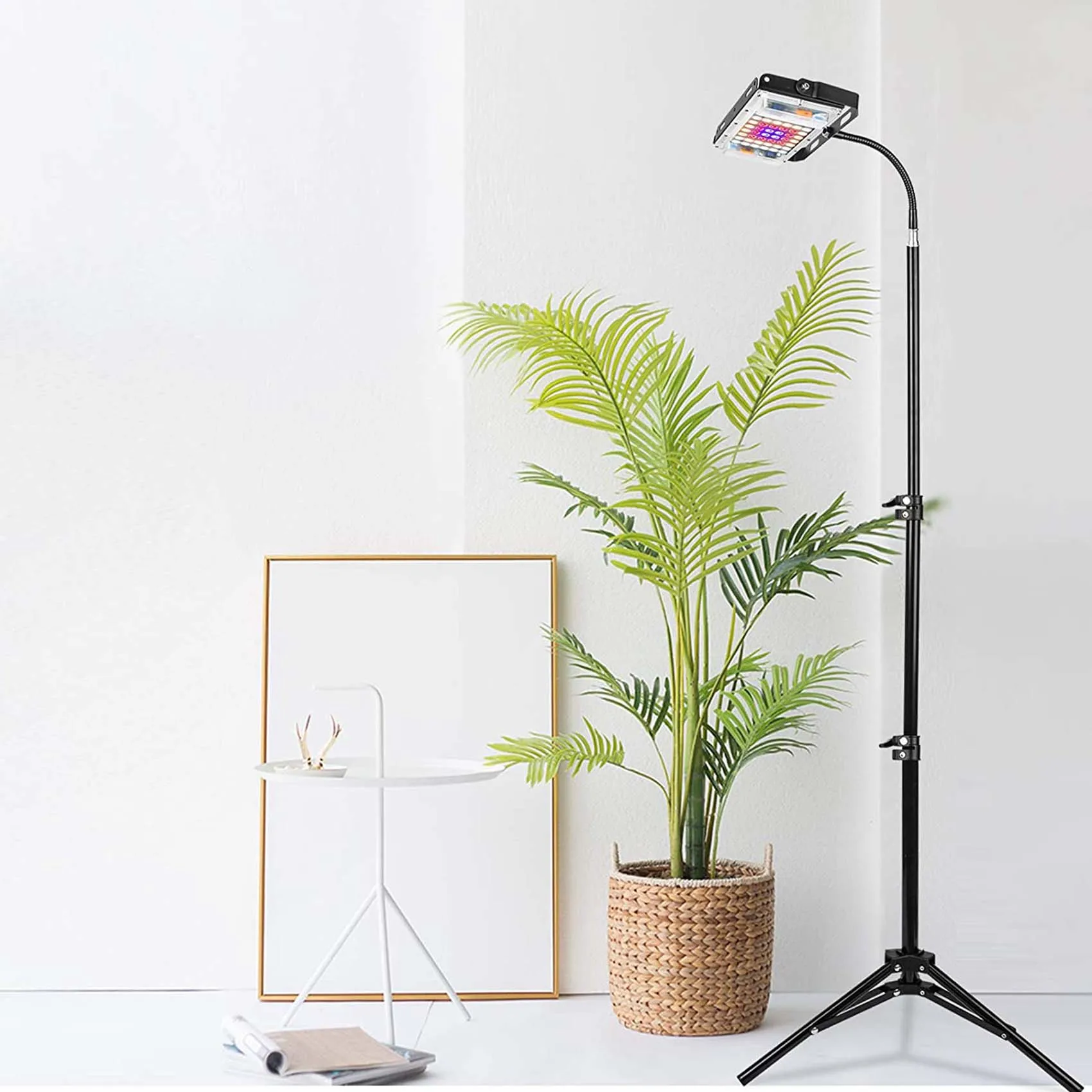 

Светильник для растений B50C с подставкой, светодиодный напольный светильник полного спектра для комнатных растений, лампа для выращивания растений с выключателем, вилка стандарта США