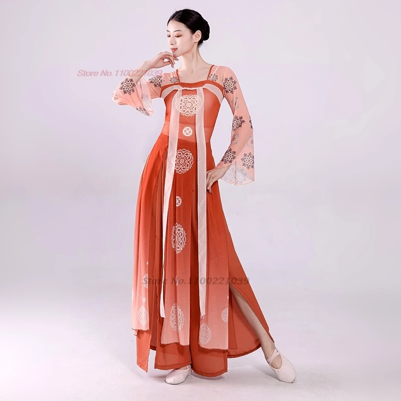 2025년 전통 중국 빈티지 댄스 국화 프린트 메쉬 한푸 상의+하의 세트 무대 공연 의상 고대 민속 무용