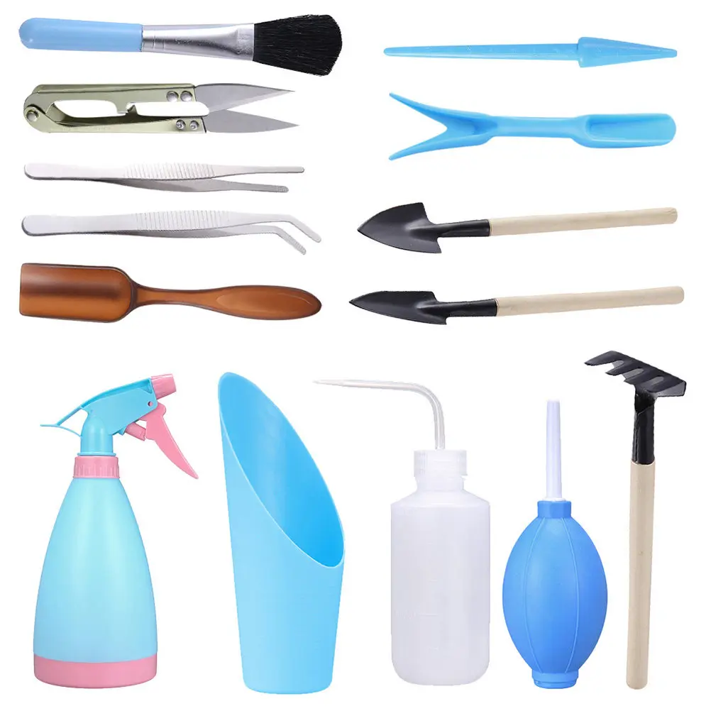 Succulent Plants Kit with Mini Shovel Rake for Bonsai Planting and Garden Transplanting