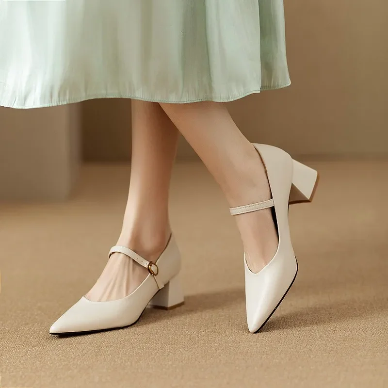 

French Vintage Mary Jane Shoes Women 2026 Spring and Autumn One Strap Block Heel Versatile Pointed Toe Single Shoes High Heels