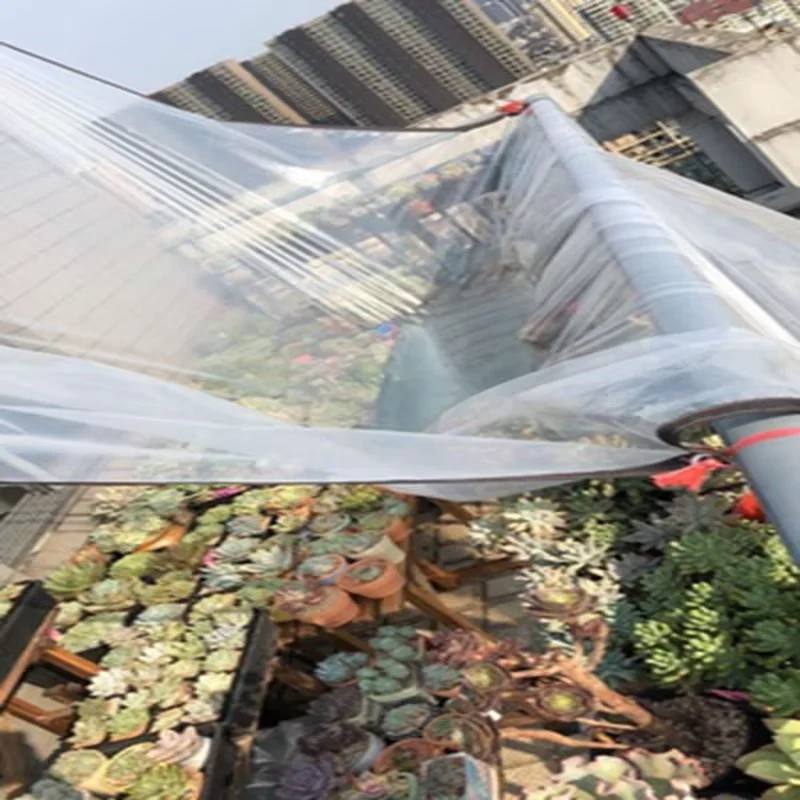 1m Width Agriculture Black White Plastic Film Greenhouse Dropless Film, High Transparent Plant Cover Keep Warm Garden Film