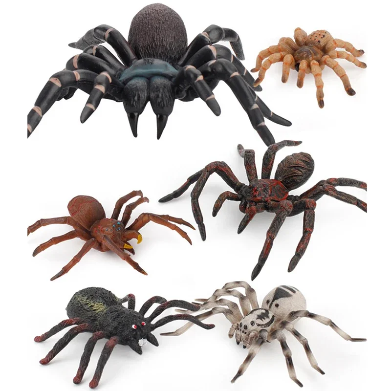 Simulation Animals Insect Solid Model Spider Tarantula Black Spider Halloween Scary Action Figures Educational Toys For Kids