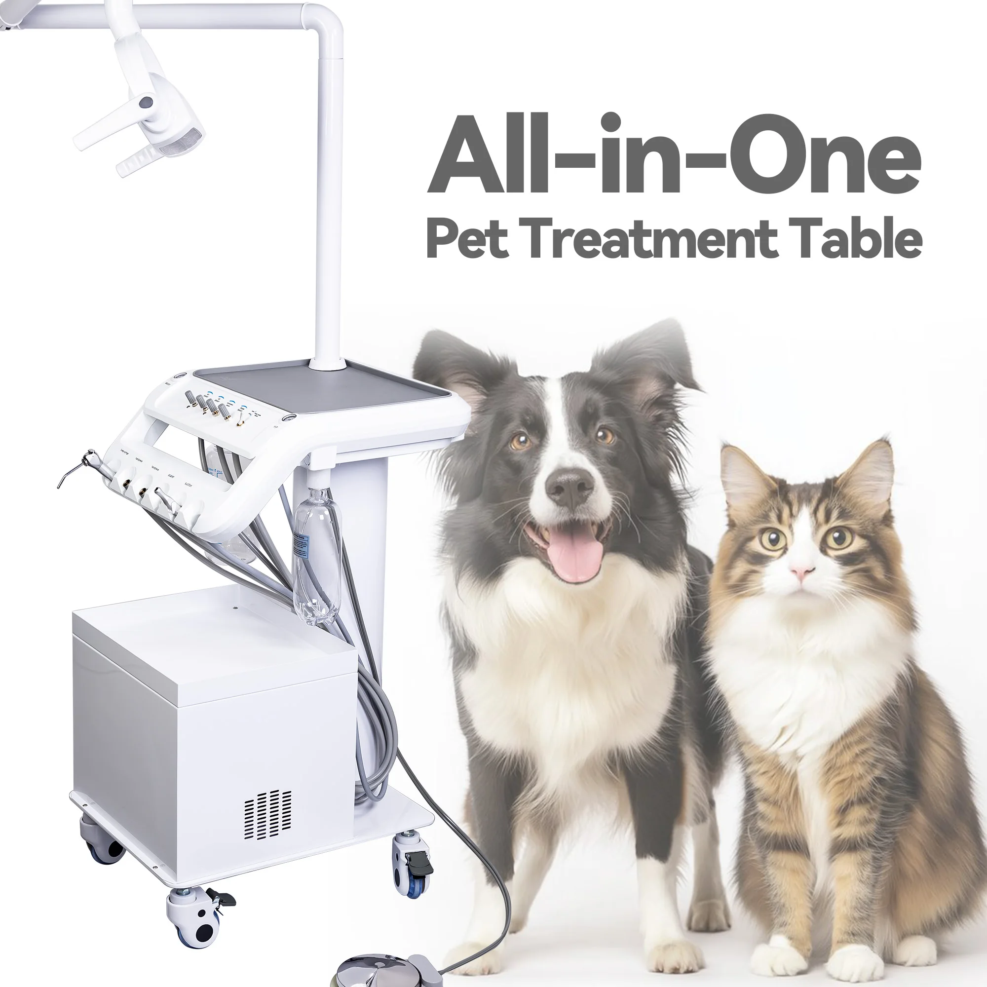 High Quality Mobile VeterinaryTreatment Vehicle 600W Oil Free Compressor Pet Clinic Cleaner