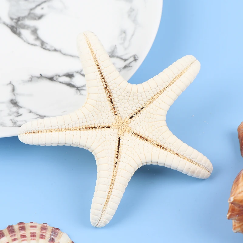 Starfish Crafts Decor Starfish DIY Shell Sea Fish Party Beige Starfish Decor