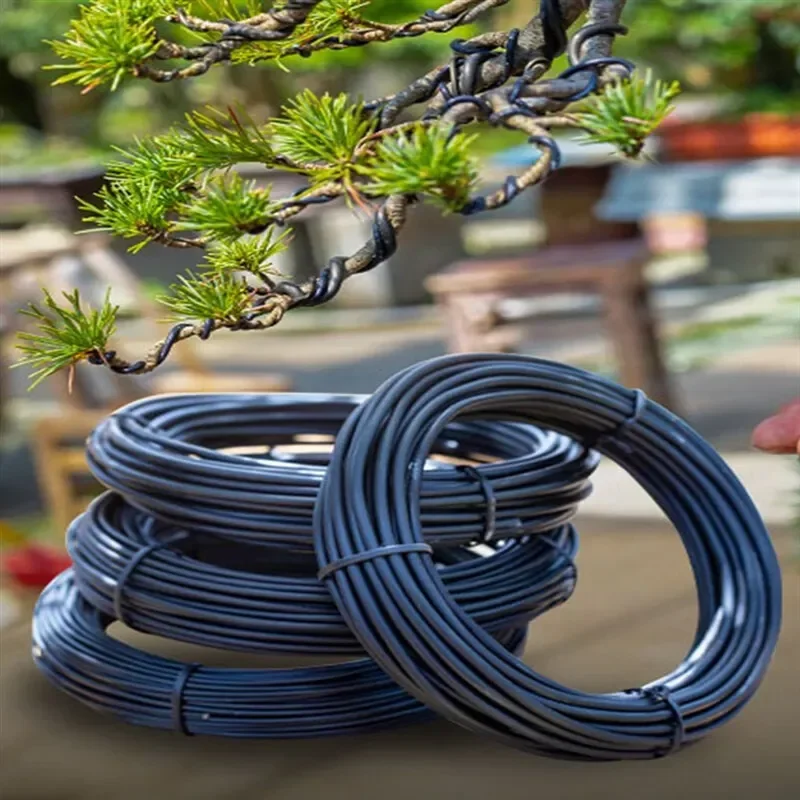 0.8mm 1.5mm 2.5mm 3.0mm 3.5mmx5meters Black Bonsai Wire Anodized Aluminum Bonsai Training Wire Garden DIY Tools for Plant Shapes
