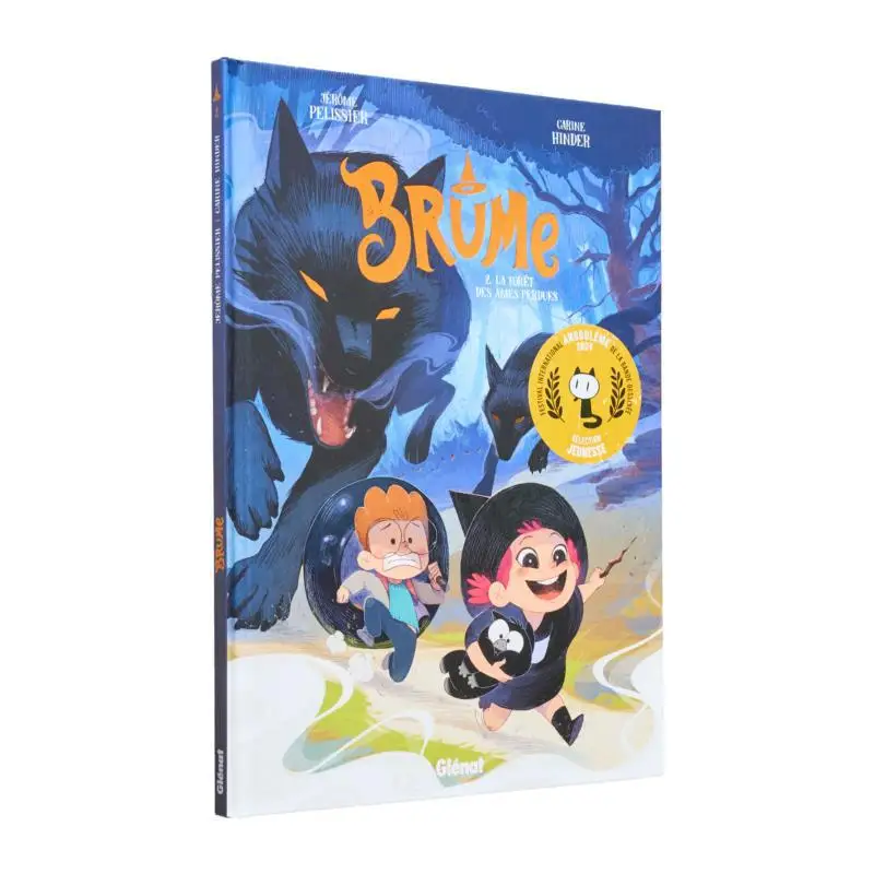 

Туман «Лес потерянных души» Тим 02, Джером Плиссир, Карина, халиш, Глимт, Франция, 9782344056424, книга