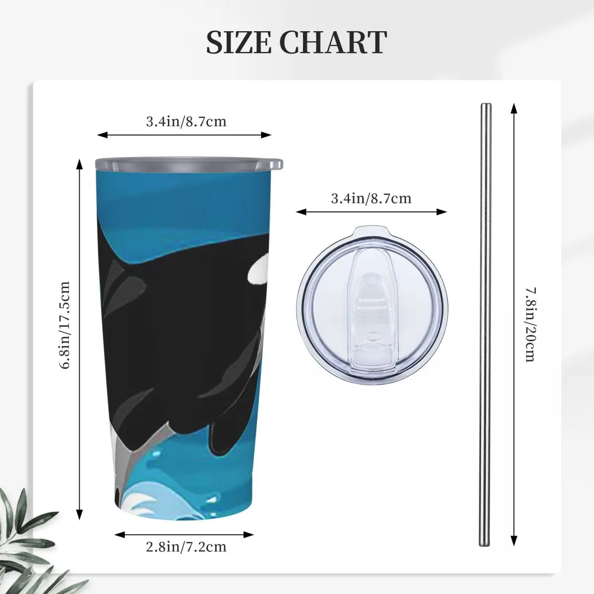 Orca Aquatic Sea Ocean - Top Tees Killer Whale Stainless Steel Tumbler Vacuum Insulated Mug Thermal Cold Bottle Straws With Lid