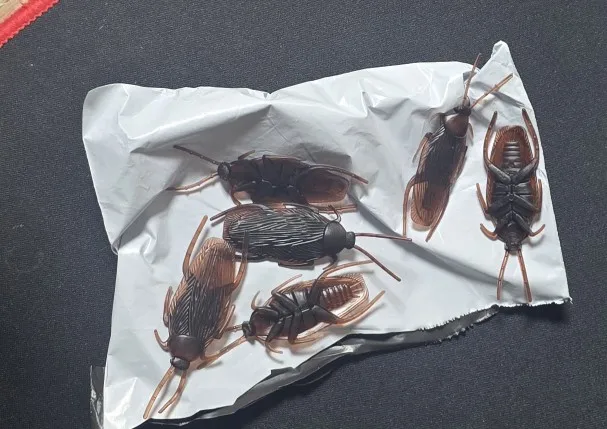 실물 포토 리뷰
