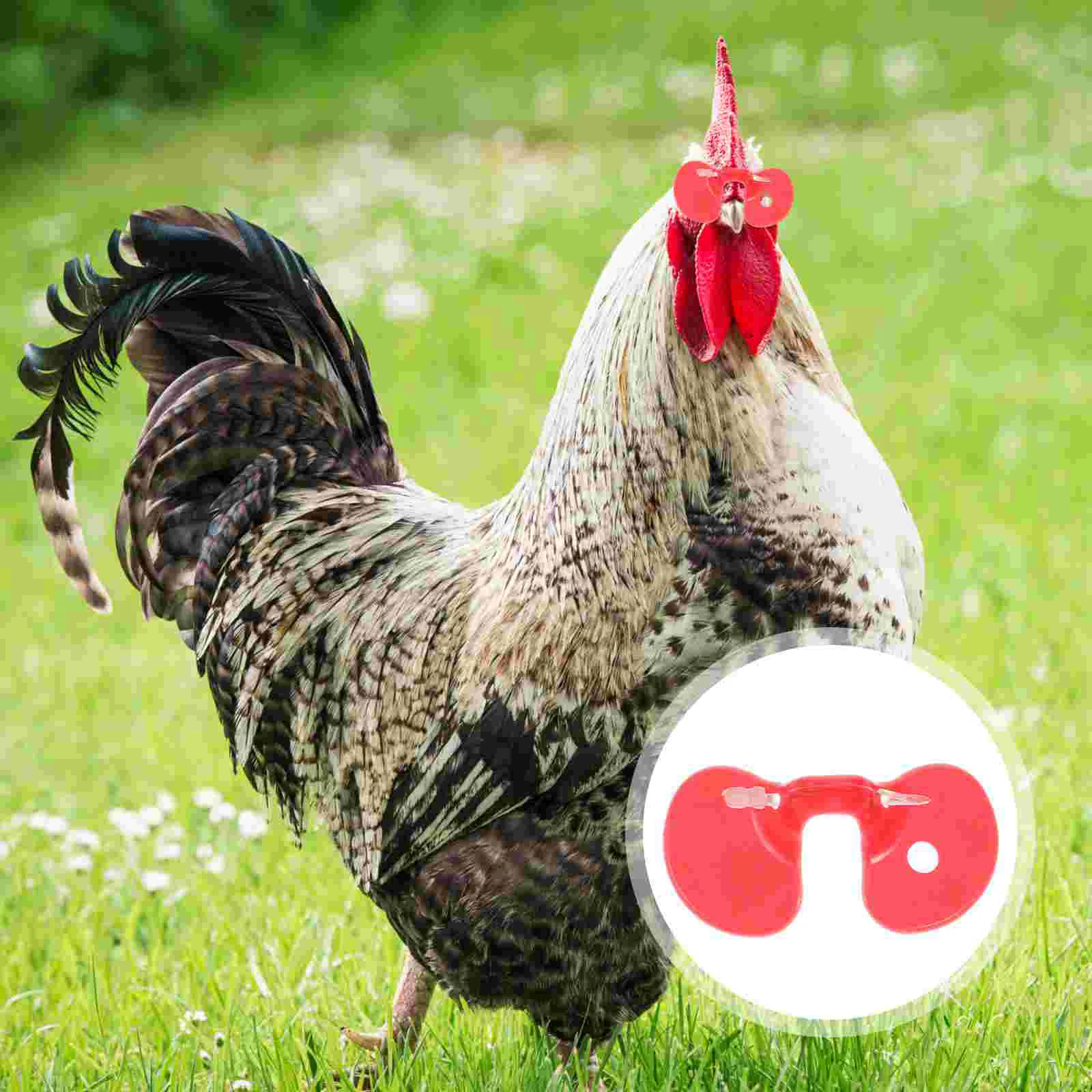 100 Pcs Chicken Breeding Glasses Pet Supplies Toys Anti Fighting Peepers Bird Hen Pecking Eyeglasses Care Pheasant Farm