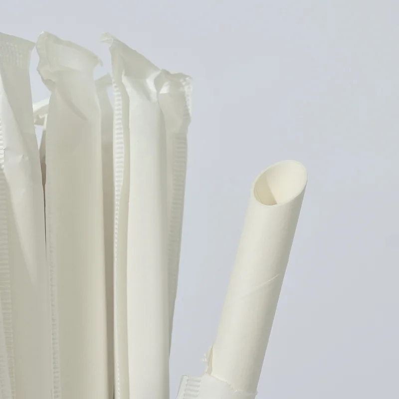 White 12x190MM Individually Wrapped Angle Cut Eco-Friendly Paper Straws Bulk for Restaurant, Mixed Drinks, Boba--100 Pcs