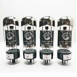 GYYKD PSVANE 5881 Vacuum Tube Replaces 6L6G 6L6GA 6L6GB 6L6GC 5881A 350C 6P3P Electron Tube for Audio Amplifier